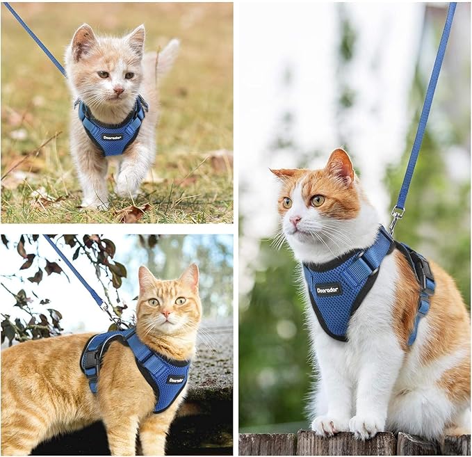 Dooradar Cat Harness and Leash Set, Escape Proof Safe Adjustable Kitten Vest Harnesses for Walking, Easy Control Soft Breathable Mesh Jacket with Reflective Strips for Cats, Blue, M