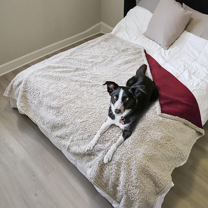 Kritter Planet Large Waterproof Bed Blanket for Intimacy, King Size Love Couples Bed Cover Leakproof, Reversible Protector Furniture Couch Cover for Dogs Pets, Washable, Stain Proof, Hair Resistant