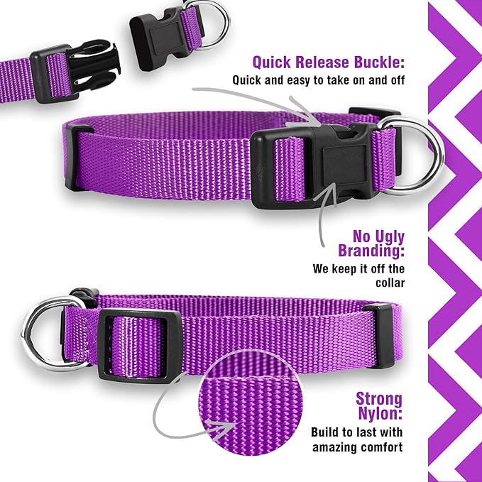 Native Pup Basic Nylon Dog Collar, Adjustable for Small, Medium, Large pet and Puppies Accessories, Cute Colors for Male, Female, boy, Girl, Puppy (Medium, Purple)