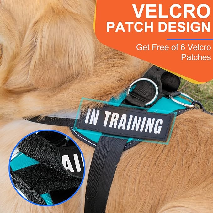 Essential Dog Harness, No Pull Pet Harness with 3 Side Rings for Leash Placement, No Choke, Reflective, Adjustable Pet Vest, Easy On-Off & Improved Control Handle, Training, Walking, Running