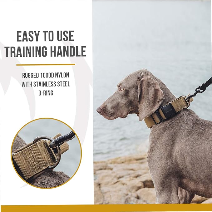 OneTigris Tough Dog Collars, Tactical Dog Collar with Handle, Milltary Adjustable Dog Collar with Heavy Duty Metal Buckle for Training (Medium (Pack of 1), Brown)