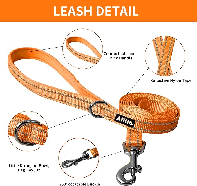 AIITLE Comfortable Dog Harness and Leash Set for Walking - Spring Step in Vest Harness,Reflective Bands, Adjustable No Pull Puppy Essentials, for Small Dogs and House Cats Orange XS