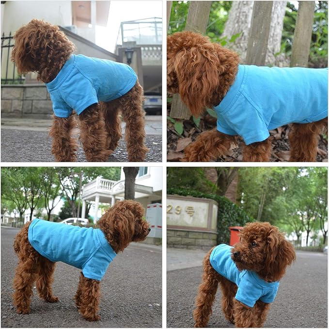 Lovelonglong Pet Clothing Dog Costumes Basic Blank T-Shirt Tee Shirts for Small Dogs Lake-Blue XS