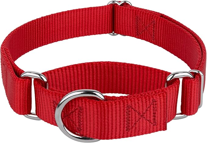 Country Brook Petz Martingale Dog Collar - Heavy-Duty Training Collar with No Buckle - Service Dog Collar for All Pups - Vibrant, Colorful Collection (Red, 1 Inch, Large)