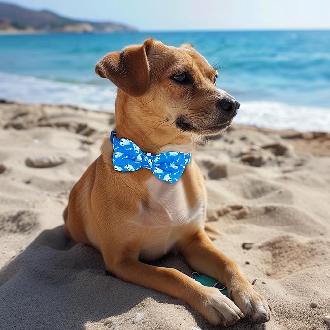 azuza Dog Collar with Bow Tie, Soft and Comfortable Adjustable Bowtie Dog Collar for Small Dogs (S, Shark)