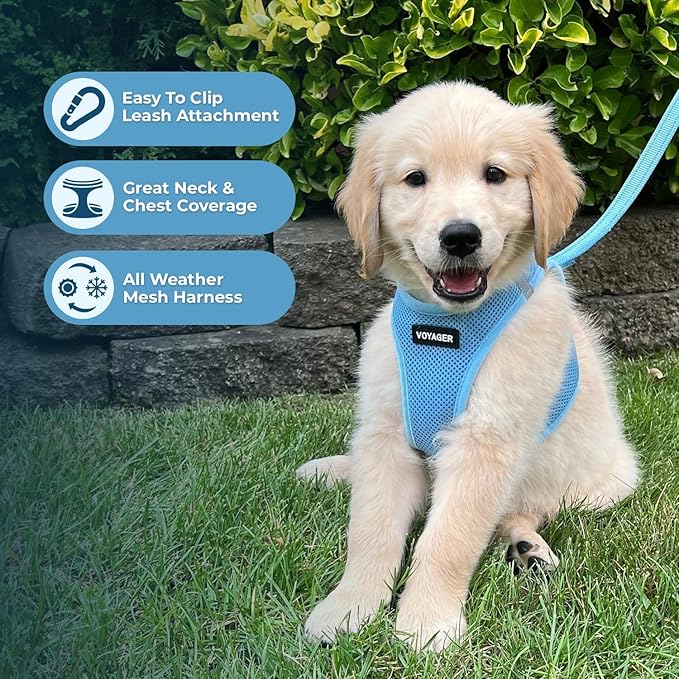 Voyager Step-in Air All Weather Mesh Harness and Reflective Dog 5 ft Leash Combo with Neoprene Handle, for Small, Medium and Large Breed Puppies by Best Pet Supplies - Set (Baby Blue), XS