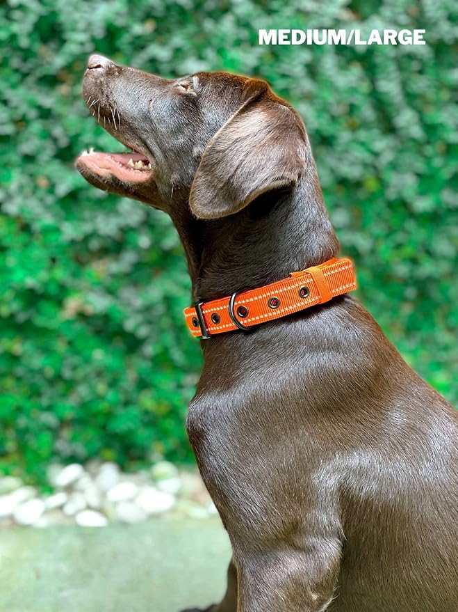 Heavy Duty Dog Collar With Handle | Ballistic Nylon Heavy Duty Collar | Padded Reflective Dog Collar With Adjustable Stainless Steel Hardware | Convenient Sizing for All Breeds