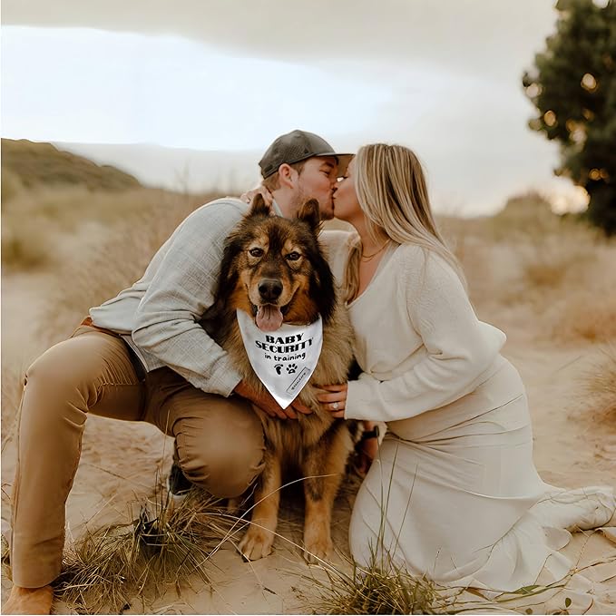 Realeaf Baby Security in Training Dog Bandanas Pet Scarf for Medium and Large Dogs Pregnancy Announcement Pet Accessories Pregnancy Reveal Ideas(Baby Security in Training, Large)