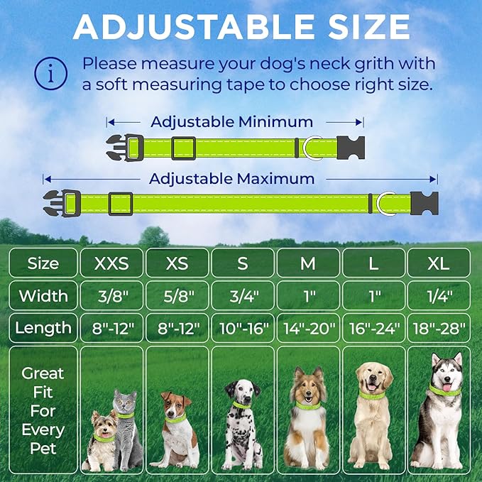 TECEUM Reflective Pet Collar – Acid Green – XL – Extra Soft Padding – Basic Nylon Dog Collar – Quick Release Buckle – Fits Small, Medium and Large Dogs, Puppies, Cats – ESA & Service Dog Options