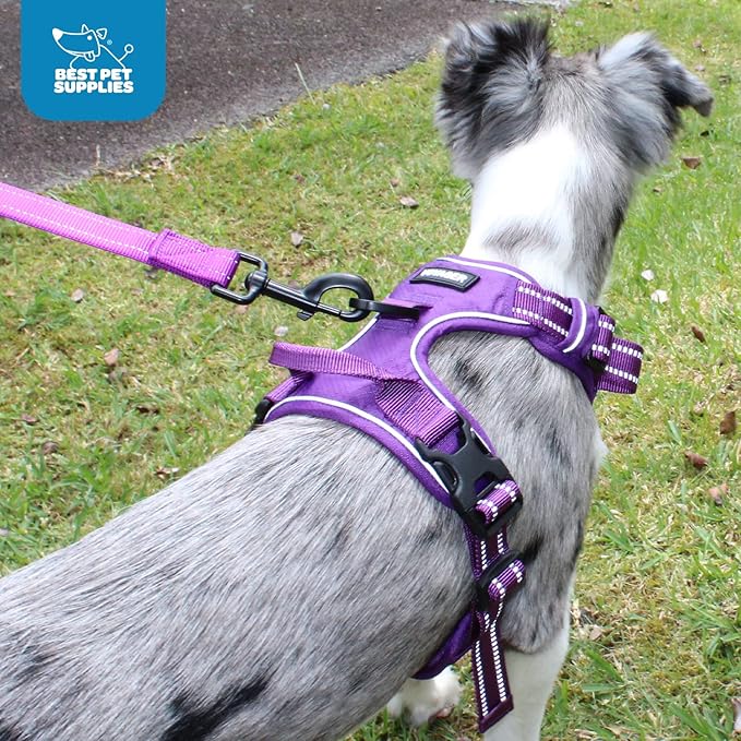 No Pull Dog Harness for Large Dogs, Dual Leash Attachments, Adjustable Soft but Strong Pet Harness with 3M Reflective Technology, Purple Lattice Nylon, M (Chest: 20-25")