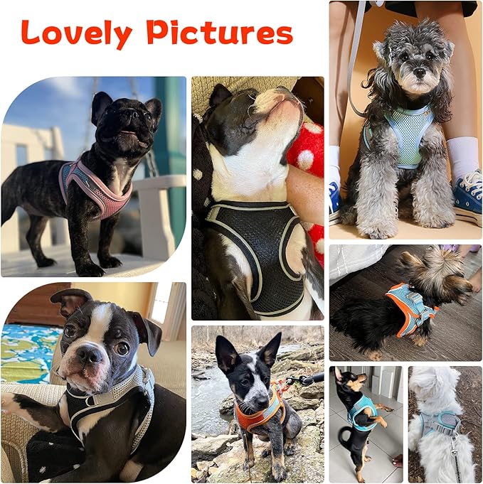 Soft Small Dog Harness and Leash Set Mesh Puppy Harnesses Leash Easy Walk Dog Harness Vest Adjustable Reflective No Pull Dog Harnesses for Small Dogs Cats (Orange Blue,M)