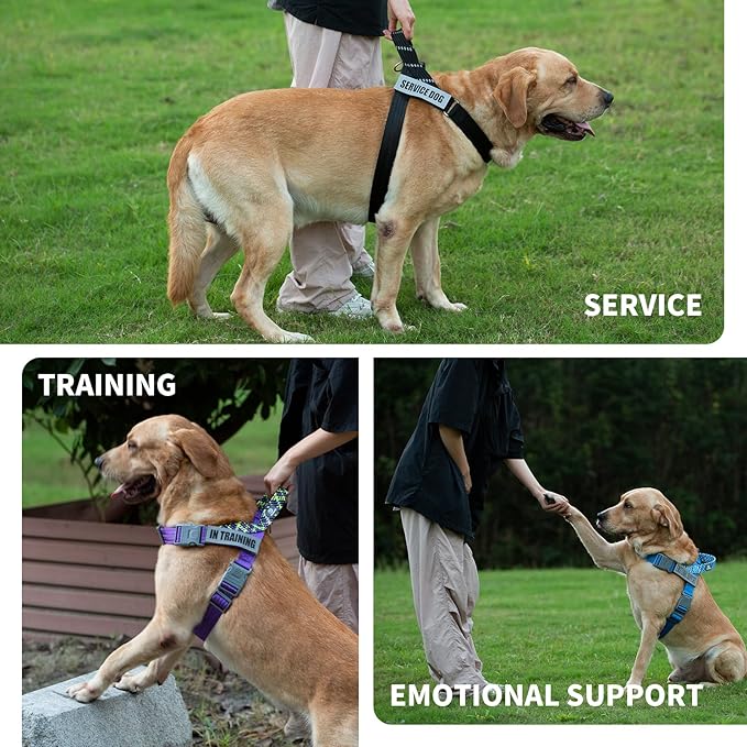 Service Dog Vest, No-Pull Service Dog Harness with 4 PCS Reflective Patches, Dog Vest Harness with Handle, Pet Harness for Small Medium Large Dogs in Training (Blue, M)