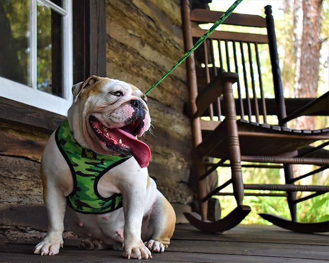 EcoBark Dog Harness Over The Head No Pull No Choke Dog Harnesses Soft Padded Mesh Dog Vest for Large Breed Dogs (X-Large (Neck 15.25 to 16.25 in), Camo)