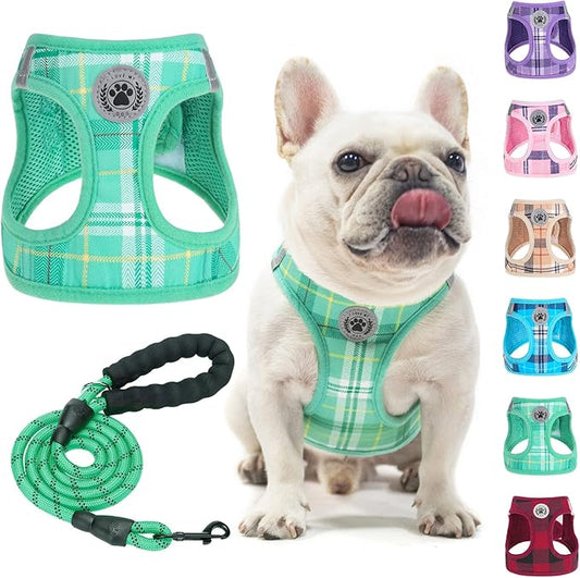 BEAUTYZOO Small Dog Harness and Leash Set,Step in No Choke No Pull Soft Mesh Dog Harnesses Reflective for Extra-Small/Small Medium Puppy Dogs and Cats, Plaid Dog Vest Harness for XS S Pets,Turquoise M