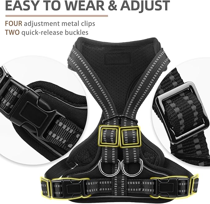 PUPTECK Dog Harness and Leash Set for Small Medium Sized Dogs, No Pull Dog Harness for Walking Training, Adjustable Reflective Puppy French Bulldog Frenchie Harness Soft Padded Vest, Black, M