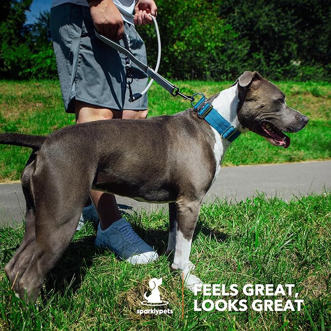 SparklyPets Heavy Duty Wide Dog Collar with Quick Release Chrome Buckle – Thick Tactical Dog Collar with Reflective Stripes & Soft Lining – for Large & Medium Breeds