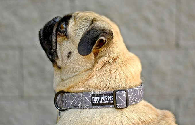 Tuff Pupper Premium Adjustable Dog Collar for Large Boy & Girl Dogs, Stylish Pattern Collars Designed in USA, Quick Release Buckle, TotemRealm Print, Large (1 Inch Wide x 18-26 Inch Neck)