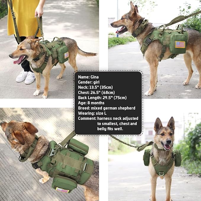 Forestpaw Tactical Dog Harness for Large Dogs,Tactical Dog Collar with Bungee Leash Set,No Pull Military Dog Harness for Walking Training,Adjustable for Medium Large Dogs,Green,Chest 15.5-25.5"
