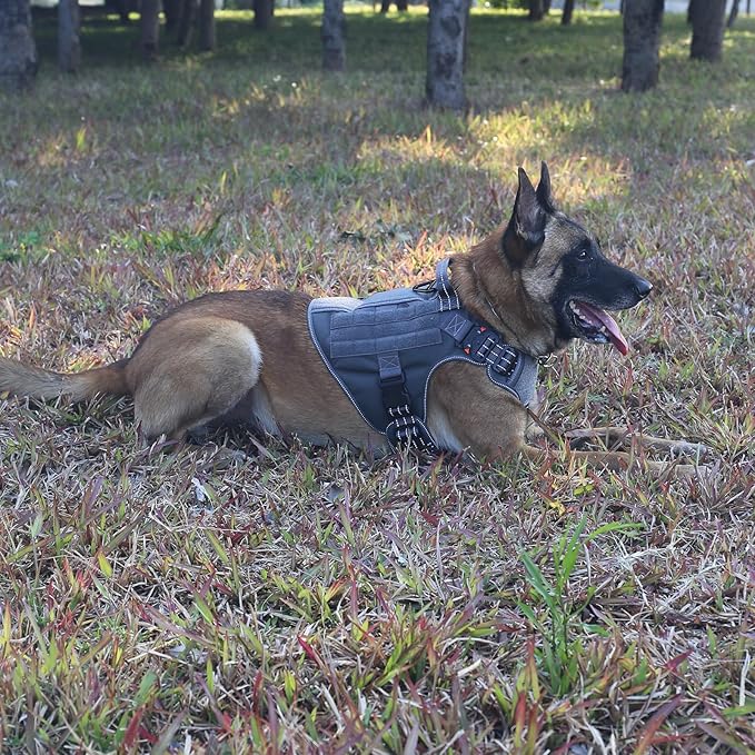 ICEFANG Tactical Dog Harness,Large Size, 2X Metal Buckle,Working Dog MOLLE Vest with Handle,No Pulling Front Leash Clip,Hook and Loop Panel