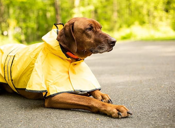 SPOT Rainy Days Slicker - Yellow Dog Rain Jacket With Hood, Reflective Strip for Safety, Leash Hole & Adjustable Velcro Belly Strap, 100% Polyester Water Resistant Pet Raincoat - Large, 17in Long