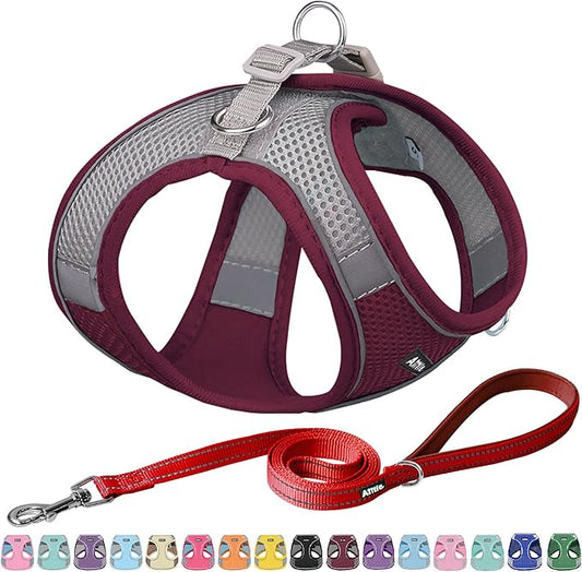 AIITLE No Pull Dog Harness and Leash Set, Step in Adjustable Dog Harness with Padded Vest for All Weather, Dog Leash with Soft Padded Handle, Easy to Put on Small and Medium Dogs Burgundy S