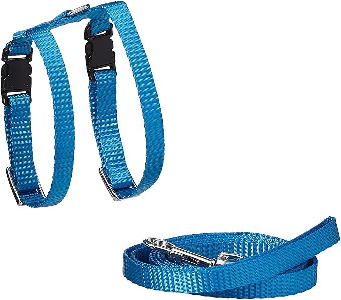 Marshall Pet Products Harness & Lead (Blue)