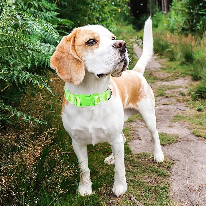 Dog Collar - Cute Green Avocado Design, Soft Nylon Adjustable Quick-Release Buckle, Durable Pet Collar for Boy and Girl Dogs (Large)