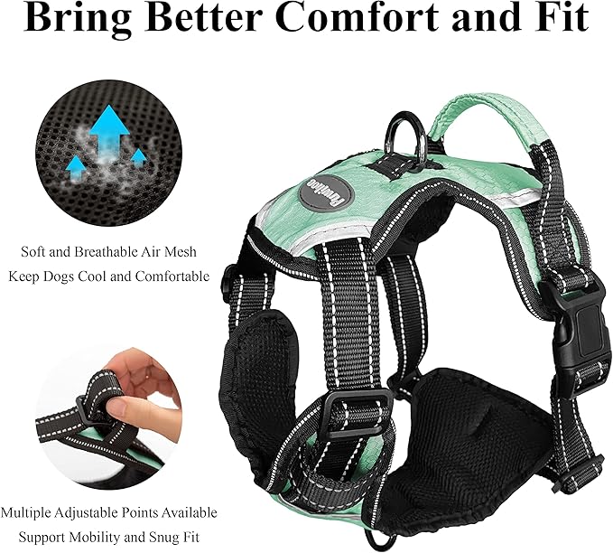 No Pull Dog Harness, Reflective Walking Dog Harness with Easy Control Handle and Front & Back Clips,Adjustable Breathable Soft Padded Dog Vest Harness for Large Medium Small Dogs,Green,M