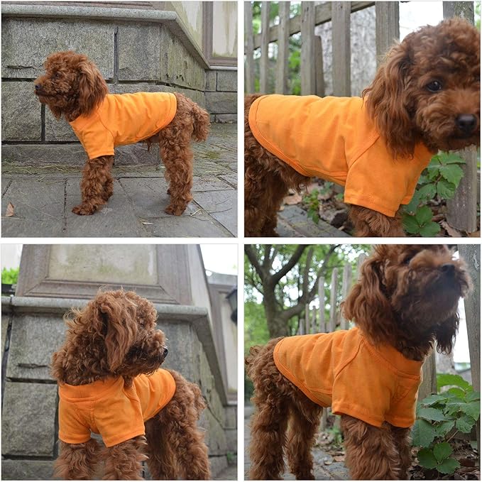 Lovelonglong Pet Clothing Dog Costumes Basic Blank T-Shirt Tee Shirts for Small Dogs Orange M