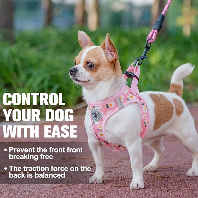 BEAUTYZOO Step in Dog Harness and Leash Set,Floral Pattern Reflective Dog Harness No Pull No Choke Puppy Harness for Small Medium Large Dogs Cats,Soft Padded Mesh Vest Harnesses for Girl and Boy Pets