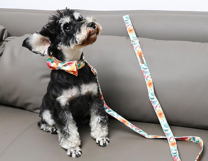 Unique Style Paws Cotton Dog Collar with Bow Floral Plaid Colorful Dog Collar with Bow Tie for Small Medium Large Dogs Pets Gifts