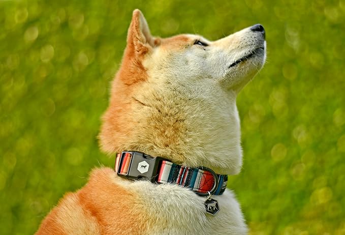 Tuff Pupper Premium Adjustable Dog Collar for Large Boy & Girl Dogs, Stylish Pattern Collars Designed in USA, Quick Release Buckle, SacredTribe Print, Large (1 Inch Wide x 18-26 Inch Neck)