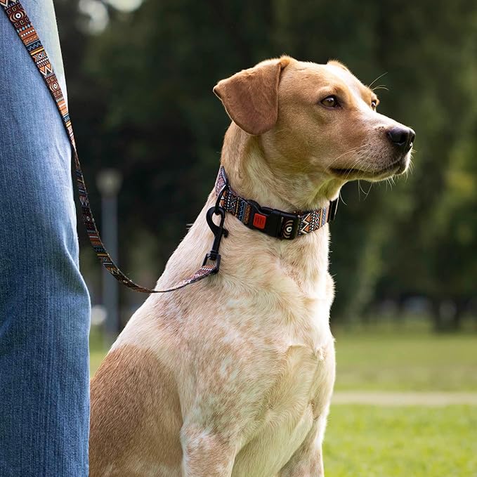 CollarDirect Aztec Dog Leash Nylon Tribal Pattern Cat Pet Leashes for Small Medium Large Dogs Puppy Lead 5 FT Long for Walking (Tribal Magenta, M, New)