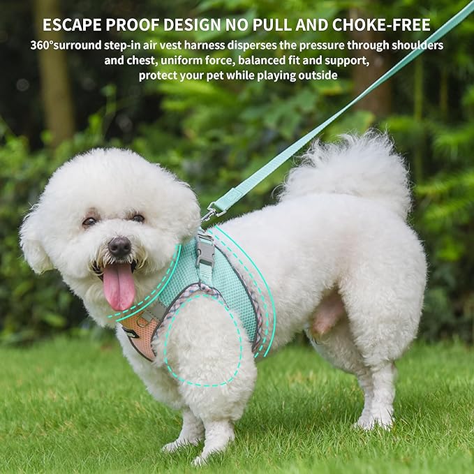 AIITLE Teacup Puppy Harness with Leash - Adjustable Soft Vest with Magic Velcro & Reflective Safety Strips, Easy-Put-On for Poodles, Pomeranians - Gym, Hiking, Travel (Turquoise-Pink, S)