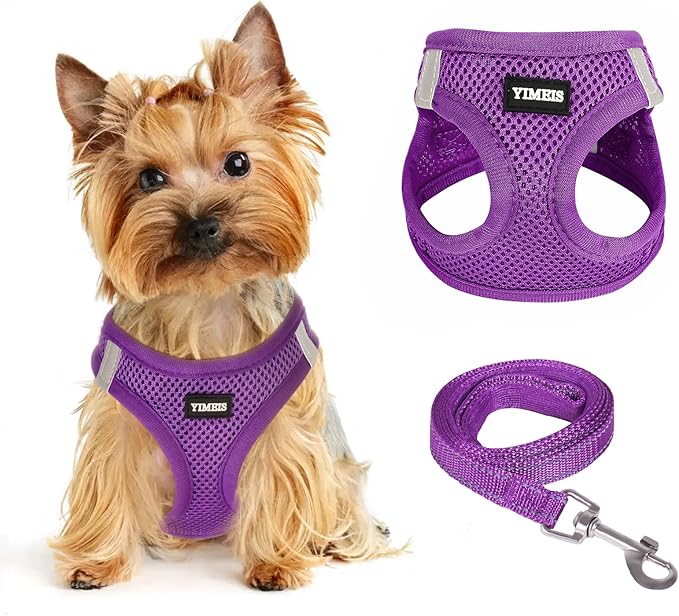 Dog Harness for Small Dogs Harness and Leash Set, Honeycomb Grid, Reflective Lightweight Harness & Anti-Twist Pet Lead (Multi Color, Size: XS-S-M) (M, Purple)
