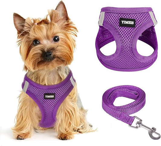 Dog Harness for Small Dogs and Leash Set, Honeycomb Grid, Reflective Lightweight Harness & Anti-Twist Pet Lead (Multi Color, Size: XS-S-M) (XS, Purple)