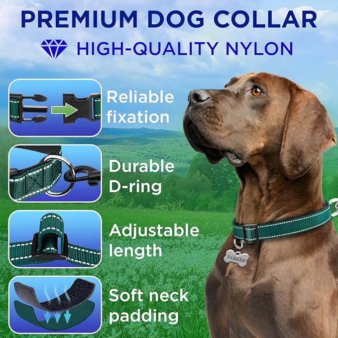 TECEUM Reflective Pet Collar – Dark Emerald Green – XXS – Extra Soft Padding – Nylon Dog Collar – Quick Release Buckle – Fits Small, Medium and Large Dogs, Puppies, Cats – ESA & Service Dog Options