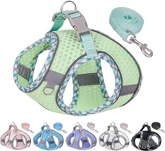 Soft Dog Harness and Leash Set for Walking, Summer Step in Vest Harness, Reflective Bands, Ultra Thin Breathable Pet Supplies, for Extra Small Dogs and House Cats Sage XS