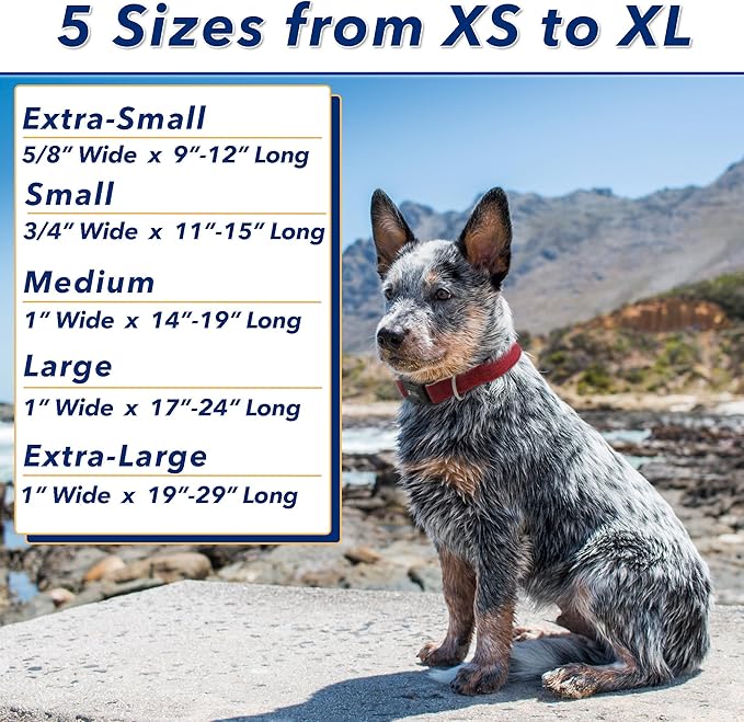 Khaki Hemp Dog Collar - Hypoallergenic Dog Collar - Comfortable for Sensitive Skin or Allergies with no Harsh Dyes or Chemicals - 5 Sizes from X-Small to x-Large Breeds