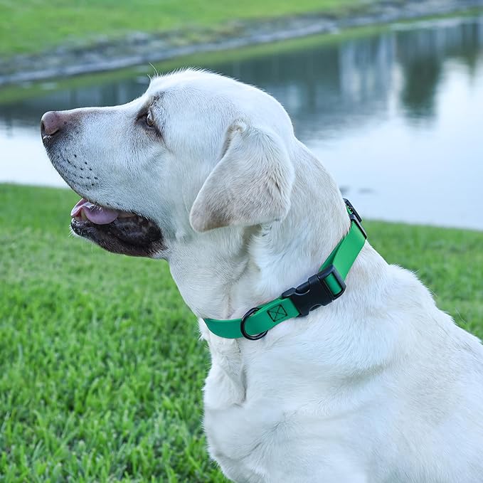 Dogline Biothane Waterproof Dog Collar with Quick Release Buckle Strong Coated Nylon Webbing with Odor- Proof for Easy Care Easy to Clean Fits Small Medium or Large Dogs, Teal 1" W 15-23" L