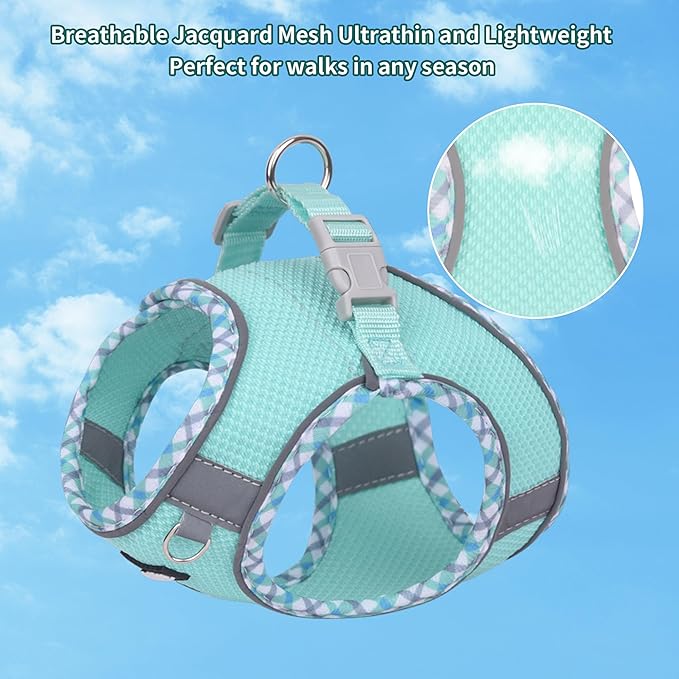 AIITLE Dog Harness and Leash Set - Ultra-Comfortable XXS-XL Vest with Strong Velcro & Glow-in-Dark Reflective Strips, Chafe-Free for Teddy, Schnauzer (Turquoise, M)
