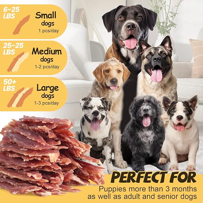 ASMPET Duck Jerky Dog Treats, Human Grade Natural Duck Jerky Tenders Rawhide-Free Grain-Free Gluten-Free Healthy High Protein Low Fat Soft Training Treats for Small Medium Breeds(10.6 oz, 5-Inch)