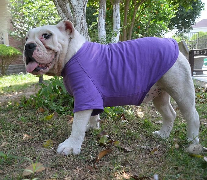 Lovelonglong Bulldog Clothes Dog Clothing Blank T-Shirt Tee Shirts for French Bulldog English Bulldog American Pit Bull Pugs 100% Cotton Skin Care Purple B-M