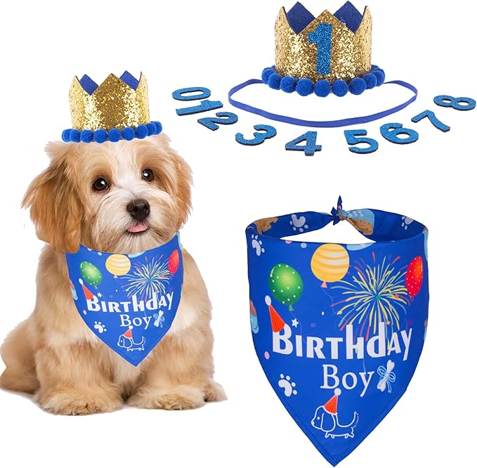 ADOGGYGO Dog Bandana Hat Set for Birthday Party Supply, Boy Girl Puppy Birthday Scarf for Small Dog (Small, Blue)