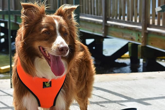 Classic Dog Harness Over The Head Mesh - No Pull No Choke Design Soft Mesh Padded Breathable Vest for Eco-Friendly for Full Size Breeds & Extra Large Dogs (XXL, Orange)
