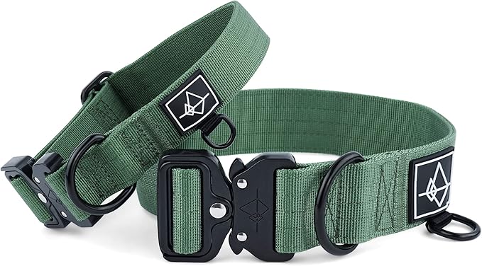 Made to ROAM Premium Dog Collar - Adjustable Heavy Duty Nylon Collar with Quick-Release Metal Buckle (Oregon Haze, Classic Size 2.5)
