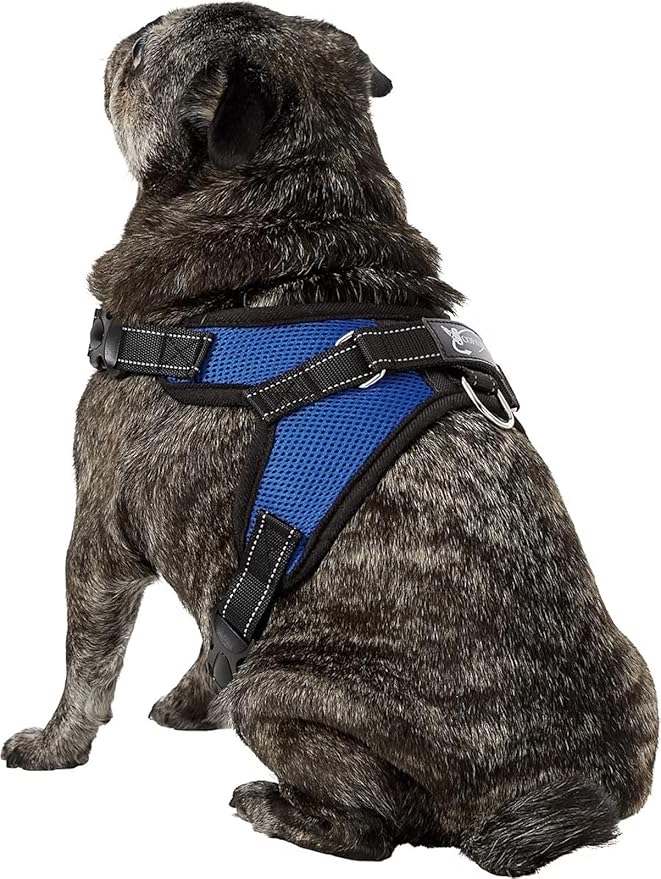 No Pull Reflective Adjustable Dog Harness With Handle- Comfortable Soft All Weather Mesh, Easy On Puppy Harness For Small Medium and Large Dogs (Blue) Medium