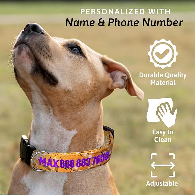 Personalized Dog Collars, Pet Collar with Name and Phone Number, Customized Adjustable Quick Release Buckle for Small, Medium, and Large Dogs. Embroidered Soft Pet Name Tag - Yellow Spring