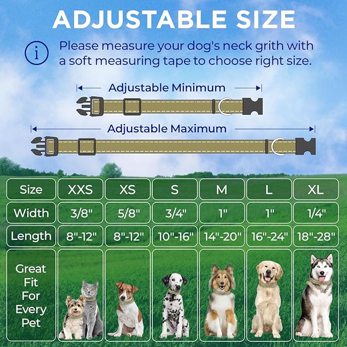 TECEUM Reflective Pet Collar – Olive – XXS – Extra Soft Padding – Basic Nylon Dog Collar – Quick Release Buckle – Fits Small, Medium and Large Dogs, Puppies, Cats – ESA & Service Dog Options