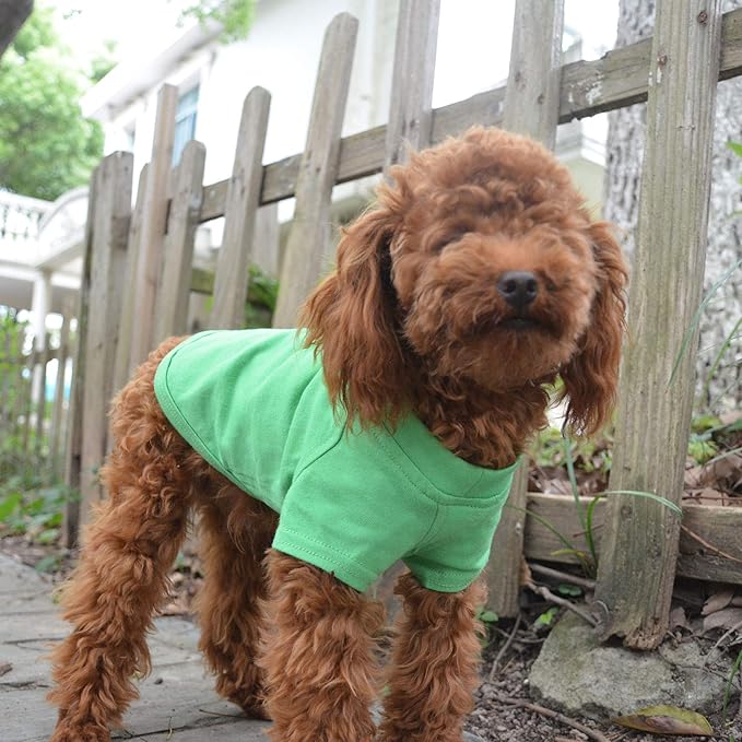 Lovelonglong Pet Clothing Dog Costumes Basic Blank T-Shirt Tee Shirts for Small Dogs Green M
